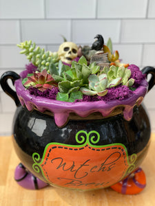 Limited Edition Halloween Succulent Cauldron DIY Kit