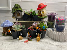 Load image into Gallery viewer, Surprise Fairy Garden Plant Nite Kits- SHIPS PRIORITY
