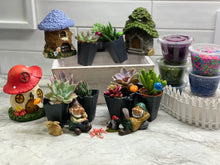Load image into Gallery viewer, Surprise Gnome Plant Nite Kits- SHIPS PRIORITY

