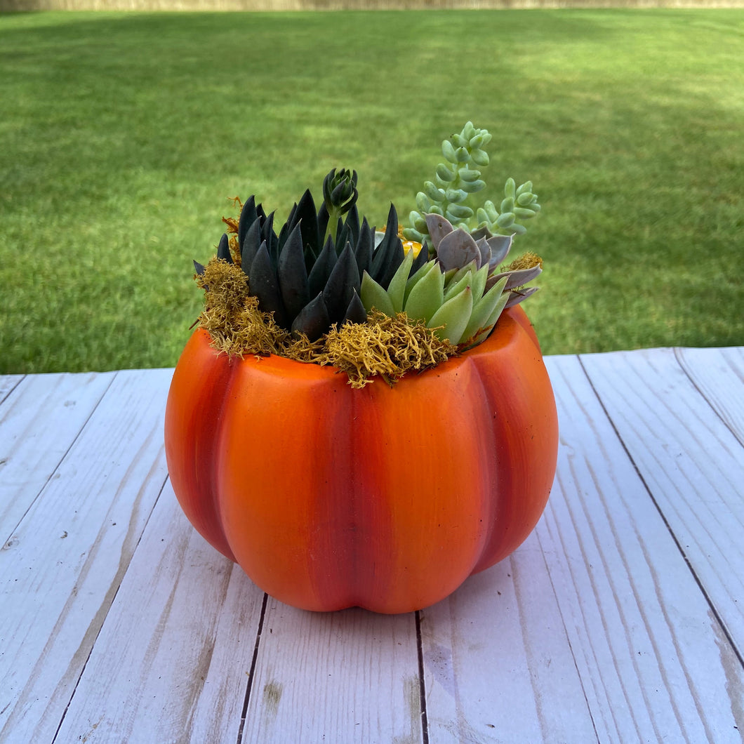 Ceramic Pumpkin Pre-Order Available September 1st