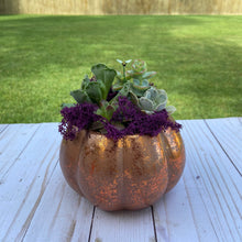 Load image into Gallery viewer, Pre-Order Fall &amp; Halloween Arrangements Orders Ship or can be picked up Sept 1
