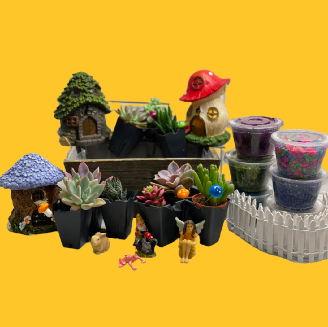 Surprise Fairy Garden Plant Nite Kits- SHIPS PRIORITY