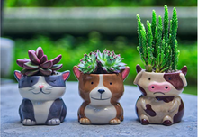 Load image into Gallery viewer, Plant Buddies- Barnyard Animals Set of 6
