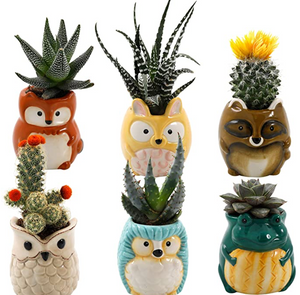 Plant Buddies- Home Town Critters Set of 6