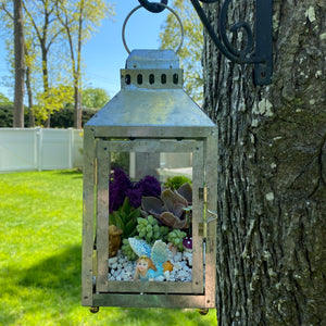 Fairy Garden Lantern Kit - Plant Nite