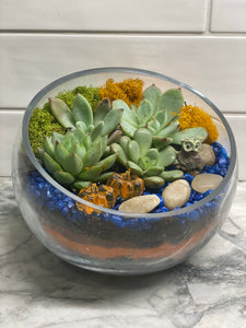 Glass Slope Bowl Succulent DIY Kit